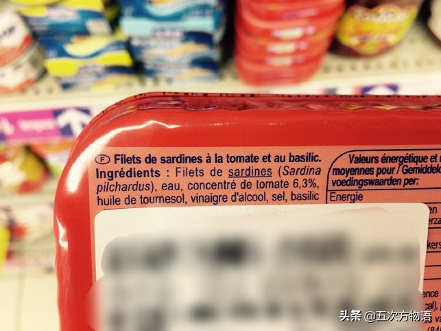 沙丁鱼的样子,真正的沙丁鱼