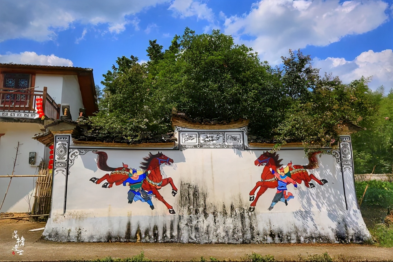 丽水上热搜,浙江丽水现萤火虫星海