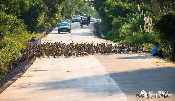 儋州|苏东坡既想“代言”，又想保密的地方