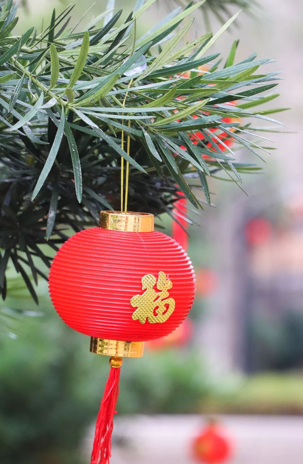 泉州祈福寺庙,泉州祈福圣地在哪里