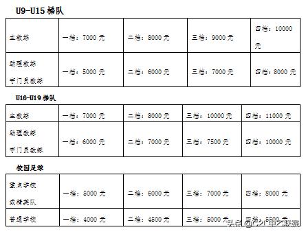 青岛中能青训蔡文浩,优秀青训俱乐部