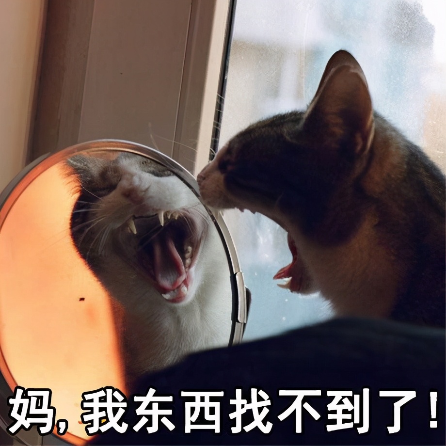 社保知识分享解答社保问题,分享社保知识让大家了解社保