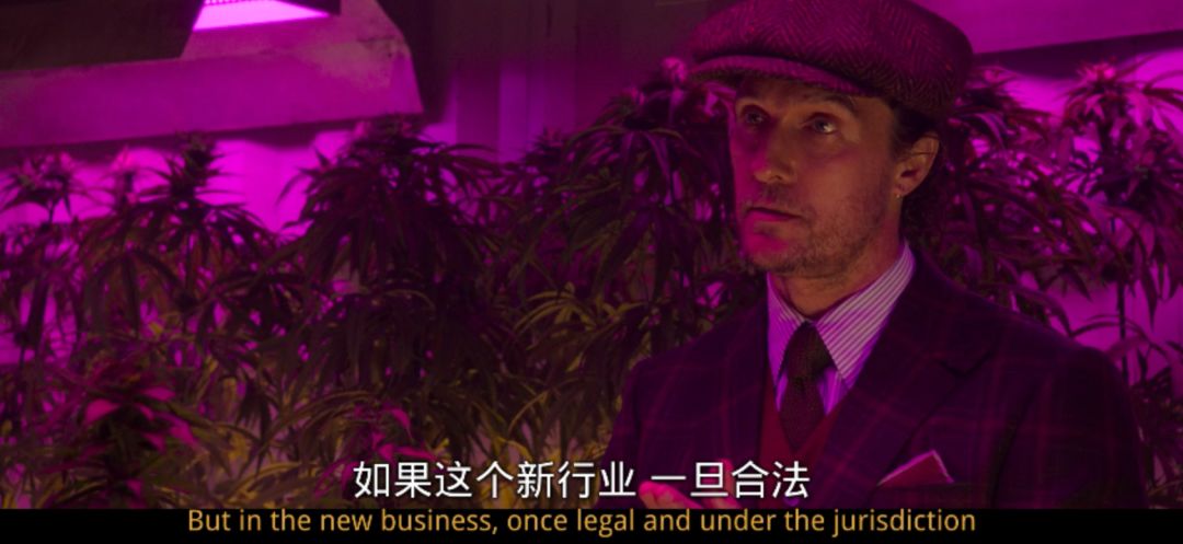 满屏尽是虎狼词,满屏虎狼之词