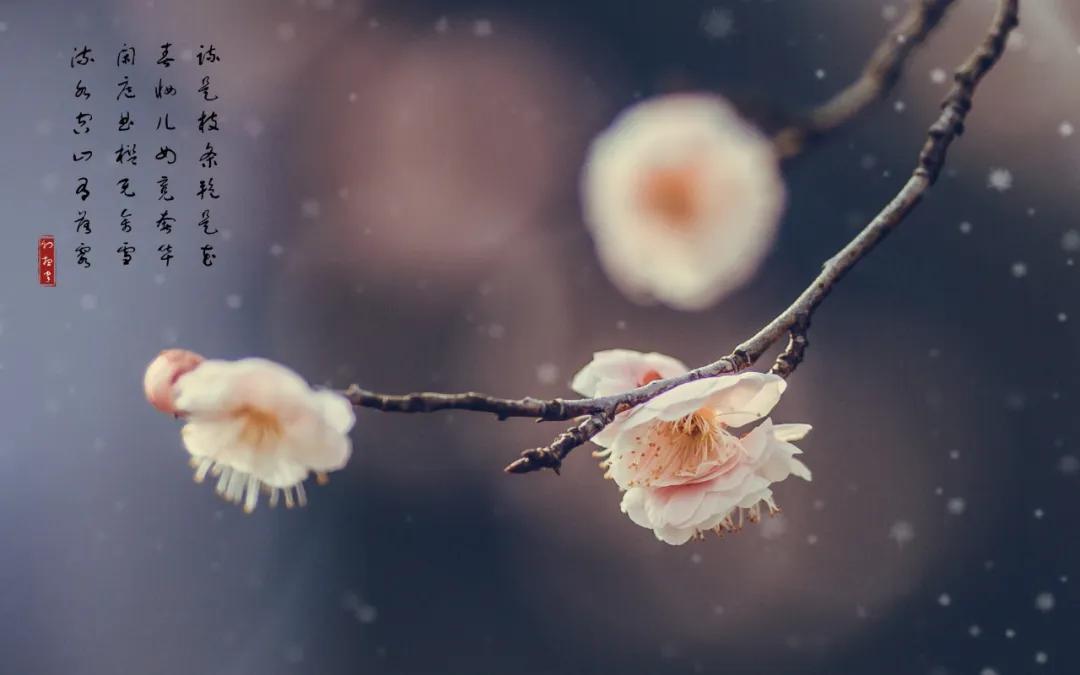 10句惊艳岁月的诗词,十首岁月静好的诗句