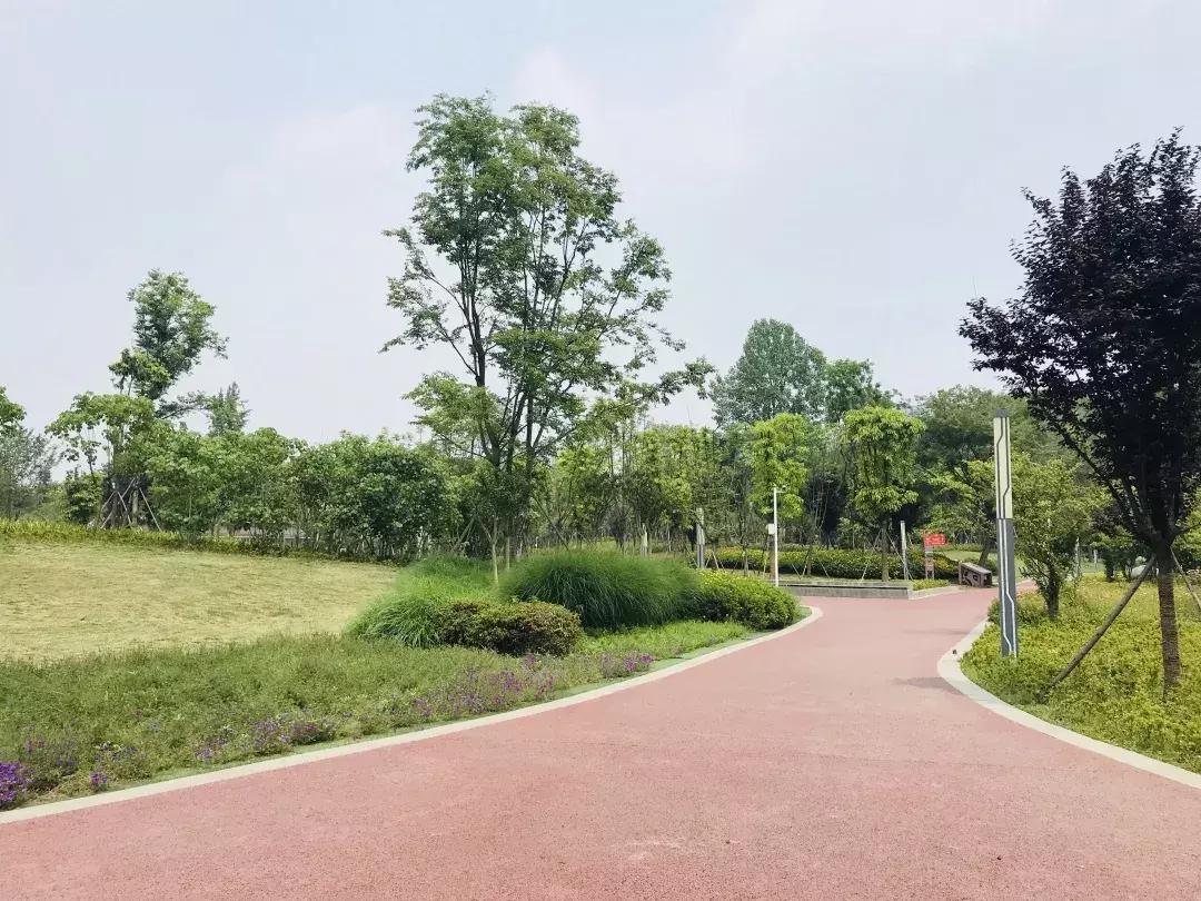 每个郫筒二小毕业的，都是在石牛公园耍大的