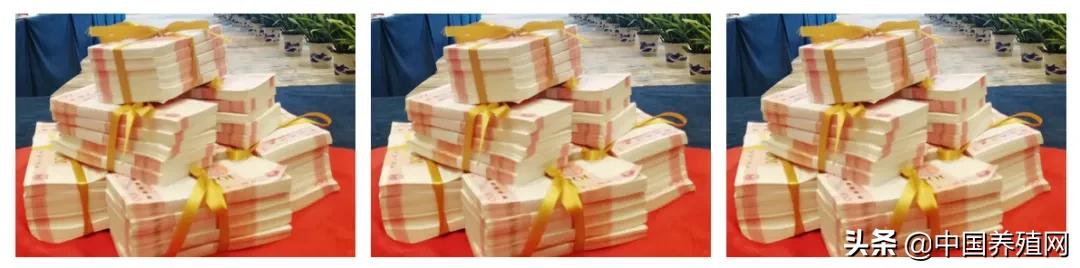 正邦各路英豪“南昌论猪”：誓言今年千亿，三年挺进世界五百强