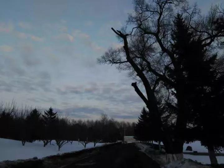 吉林市第一中学吉林市排名,吉林市省重点高中