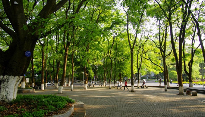 西南大学实力为什么强,西南大学实力到底怎么样