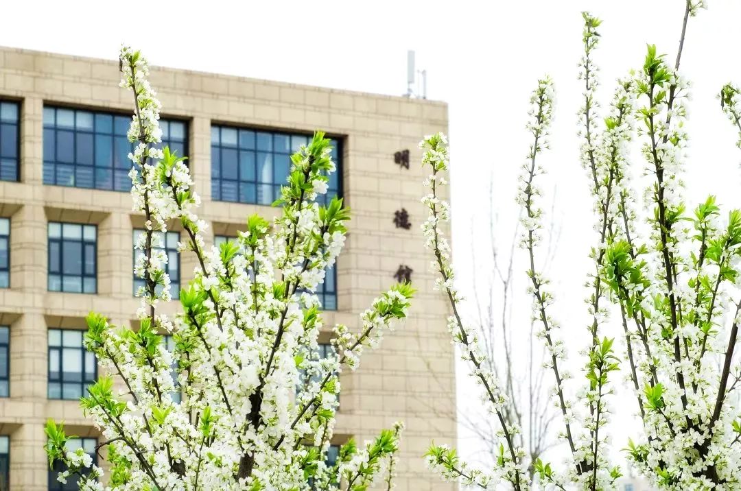 中国民航大学，是时候火了