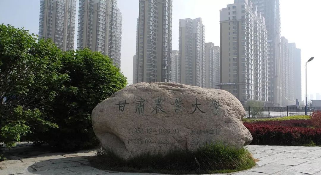 每日一校河北大学,每日一校山东师范大学