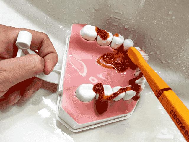 高伟光同款牙刷,高伟光牙刷介绍