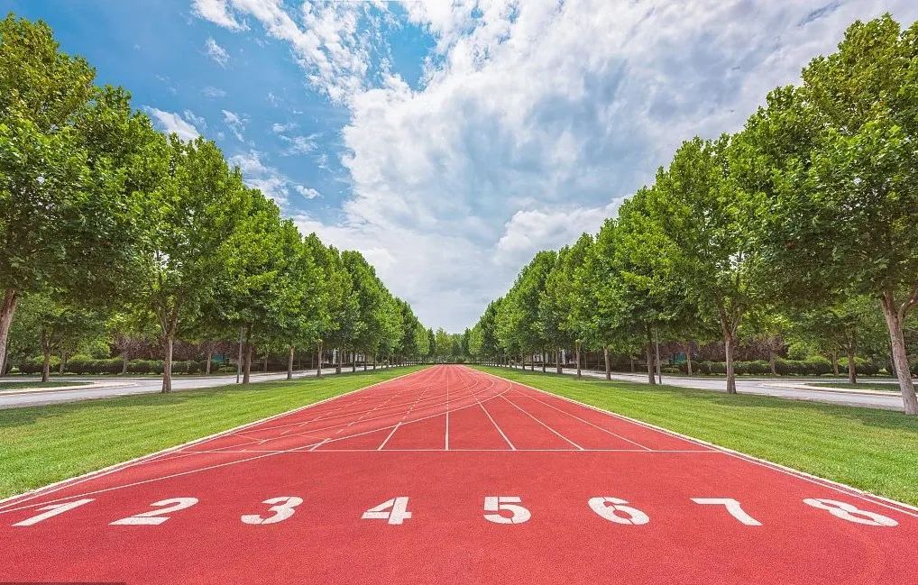 塑胶跑道分为哪几种类型,塑胶跑道常见质量问题及解决方案