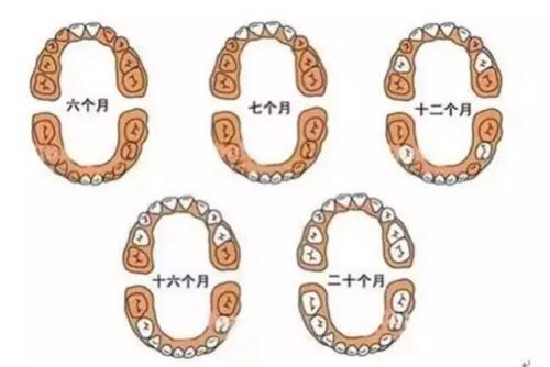 宝宝长牙有什么症状和处理方法,宝宝长牙有什么症状需要怎么护理