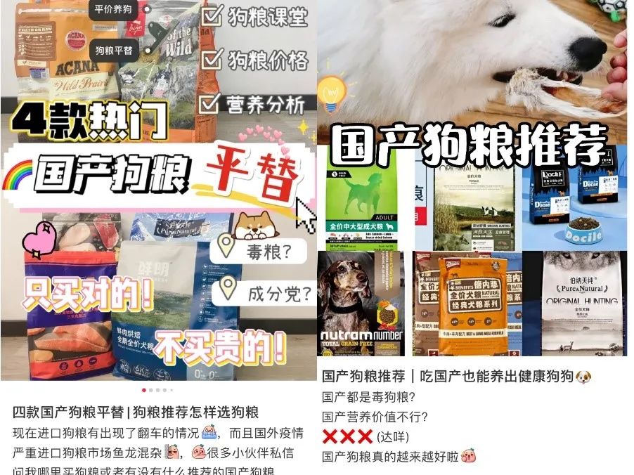 铲屎官不铲屎,铲屎官被鄙视