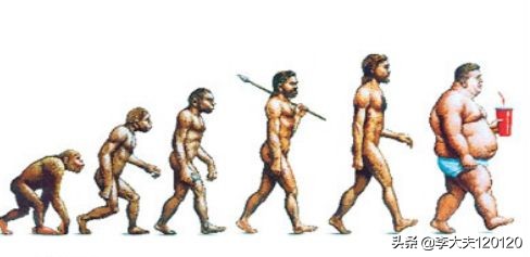 痛风性肾病和高尿酸,痛风和尿酸性肾病的区别