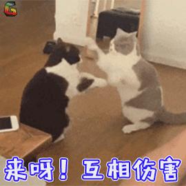 爸爸的爱全文,爸爸的爱中文版