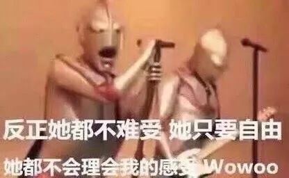 盘点表情包的背景音乐,表情包是这样诞生的超火bgm