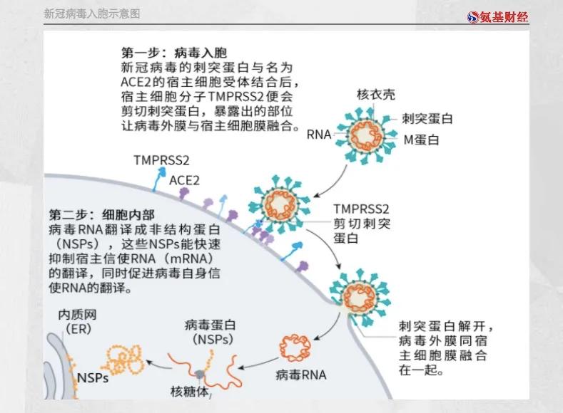 新冠治疗板块大跌原因,新冠疫情股市行情不跌反涨