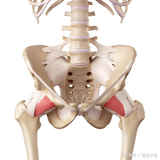 孕妇可以做什么运动有利顺产,孕期需要做哪些有氧运动