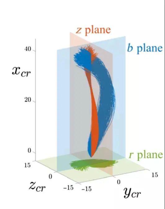 被误会了两千多年,蝌蚪是不是因为精子形态没有转变