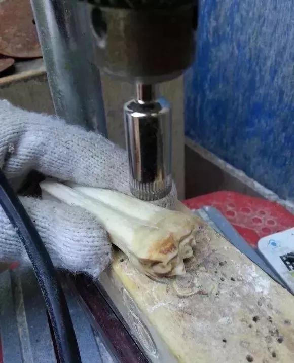 稀有老物件骨头手串,马骨头手串