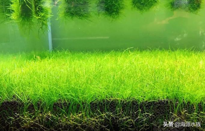 一入酒坑深似海从此钱财是路人,一入茅坑深似海下一句