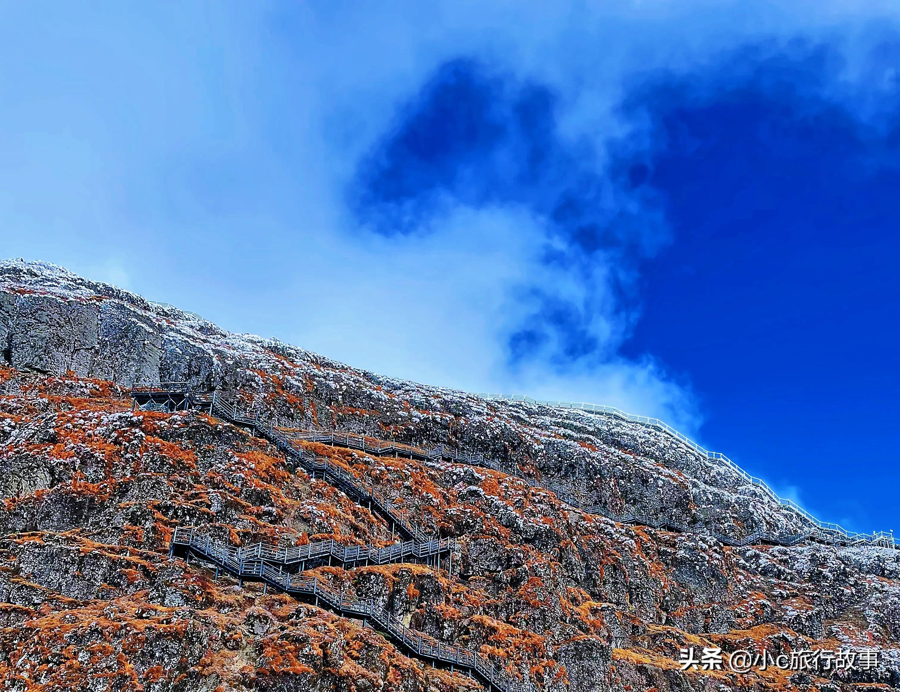 昆明轿子雪山景点春节开放吗,昆明附近旅游景点推荐轿子雪山