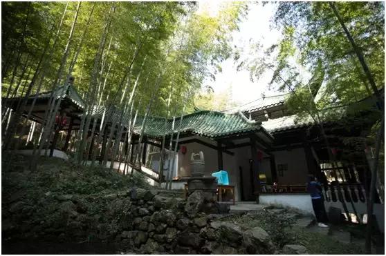 我在抖音的这些神曲里，听出了宜兴竹海的味道