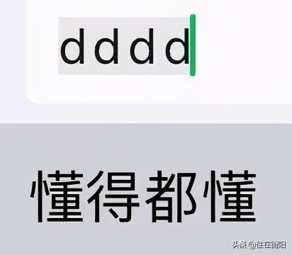 衡阳景区改造,衡阳哪些景区项目提质改造