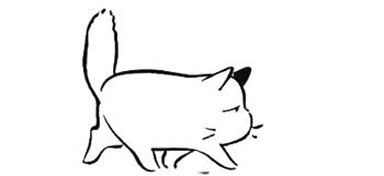 51折女装特价券,51元折扣女装