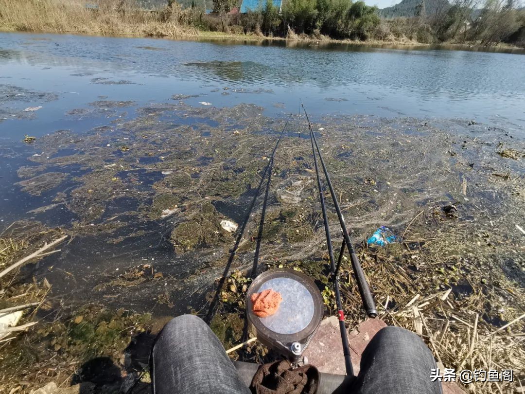全能腥饵料真的好用么,全能腥香饵料测评