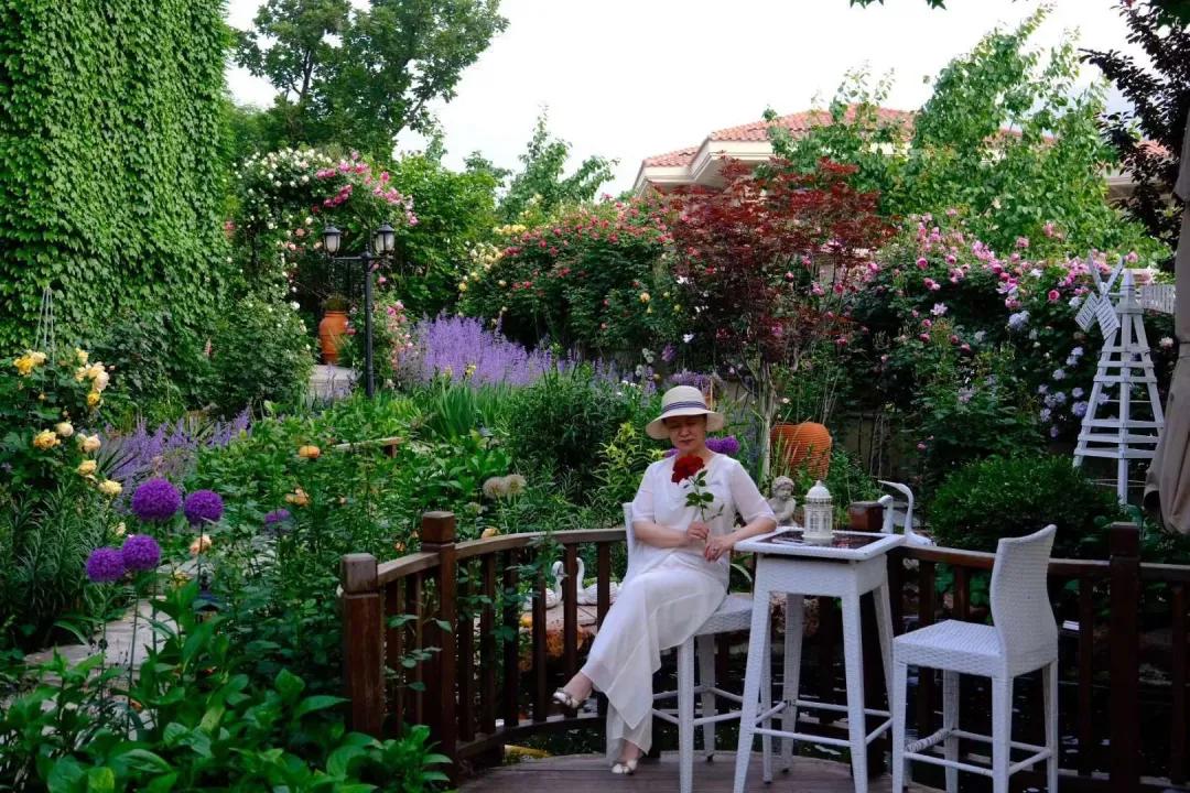 北方一年四季都开花的花园,东北花园四季开花植物