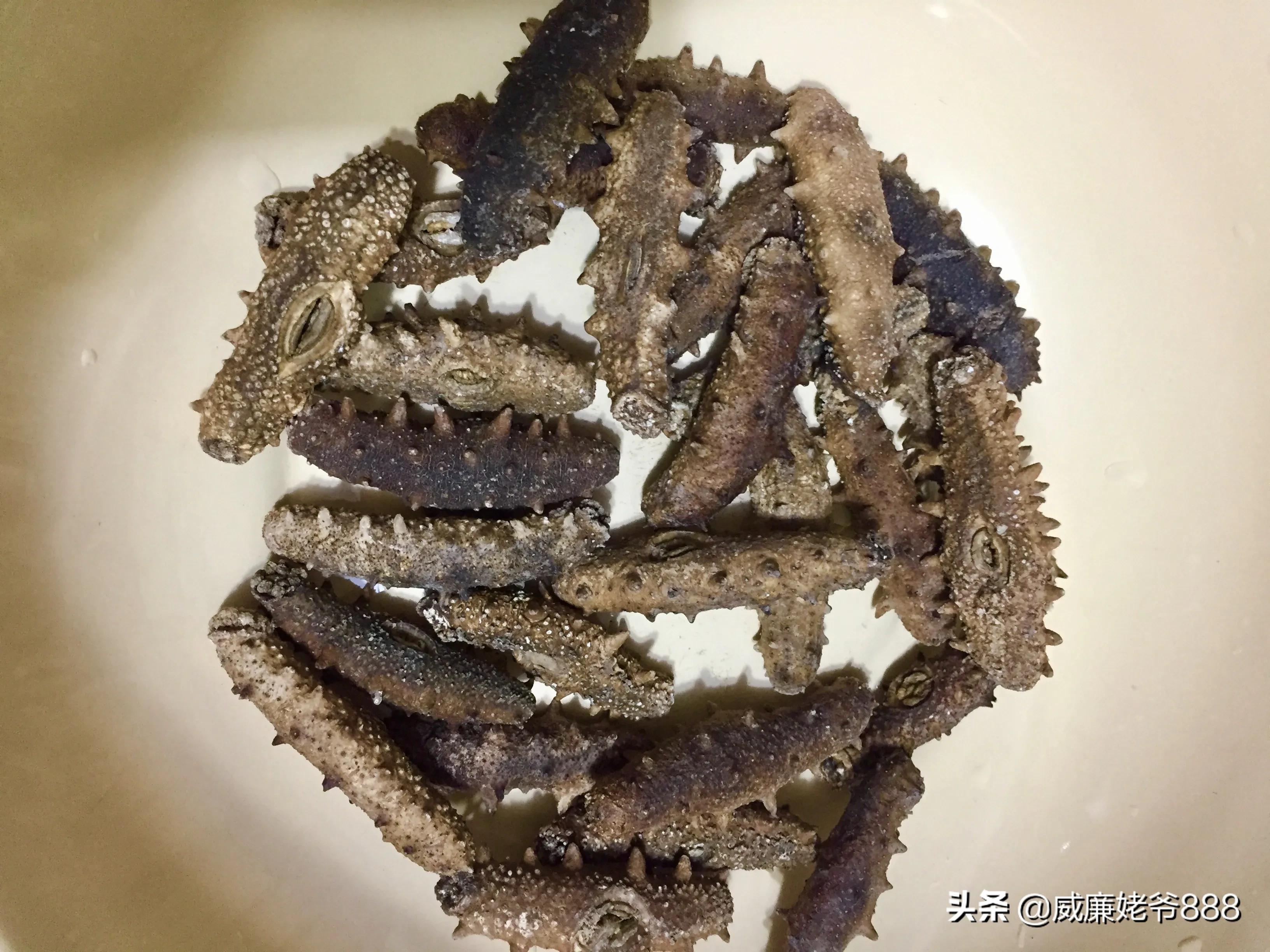 家庭葱烧海参怎么做最好,制作葱烧海参的方法