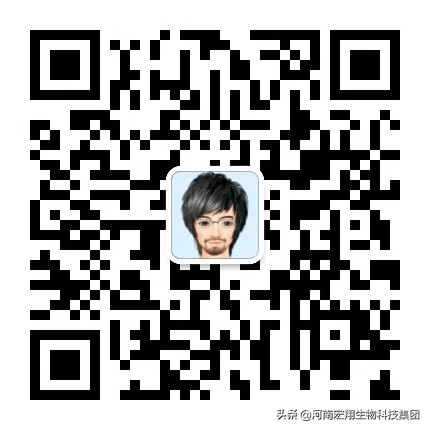 无抗保健养猪,无抗高效健康养殖