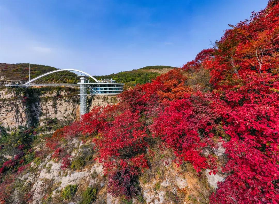 免费！半价！坐山东高铁环形列车，这些景区凭车票统统享优惠！