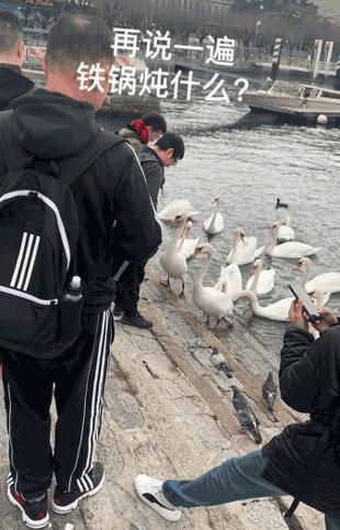 米兰朝圣圣西罗,朝拜圣西罗