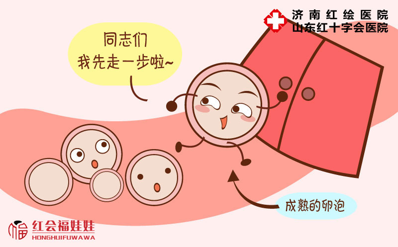 排卵期有哪些不适的症状,排卵浑身不适