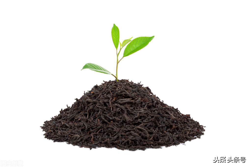 历史上有因茶叶发生的战争,中国历史上因茶叶而引起的战争