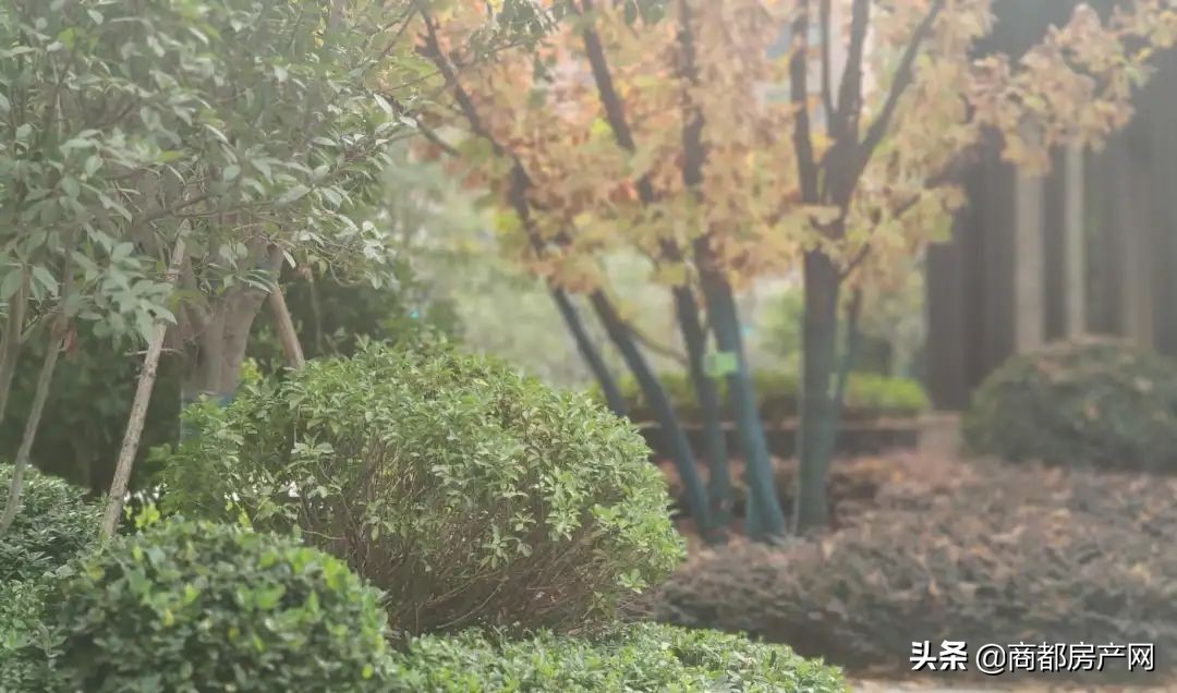 瀹炴帰鎴愮啛鏉垮潡,瀹炴帰杩愭渤鏂板煄鏉垮潡