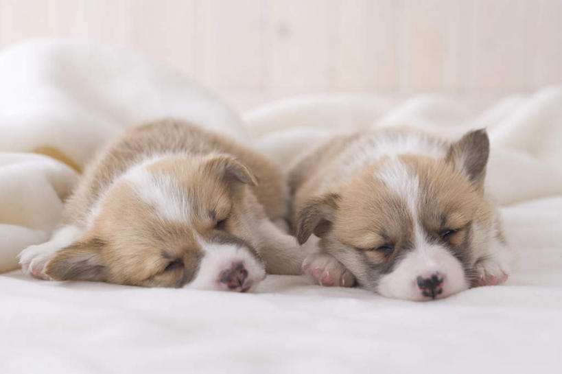 六种基本功训练方法,十种训练方法