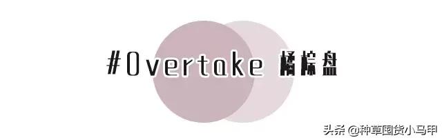 专柜出现假货新闻,专柜售假是真的吗