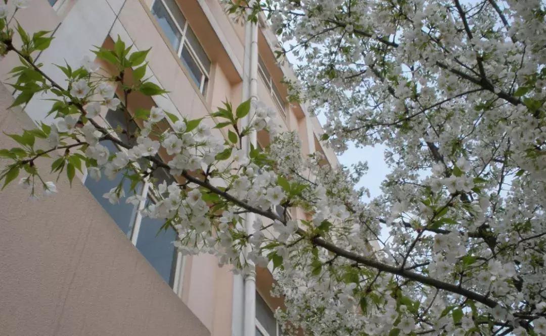 江浦高级中学算不算重点高中,江苏省江浦高级中学在全国出名了