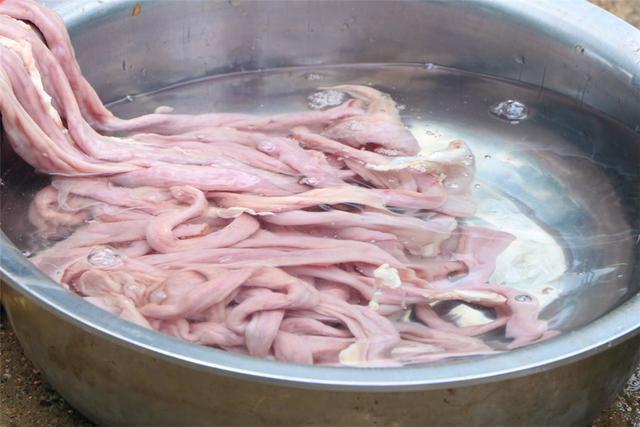 猪大肠如何炒好吃爽脆,猪大肠怎么炒更脆更好吃