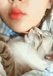 搞笑视频,搞笑动图gif猫咪