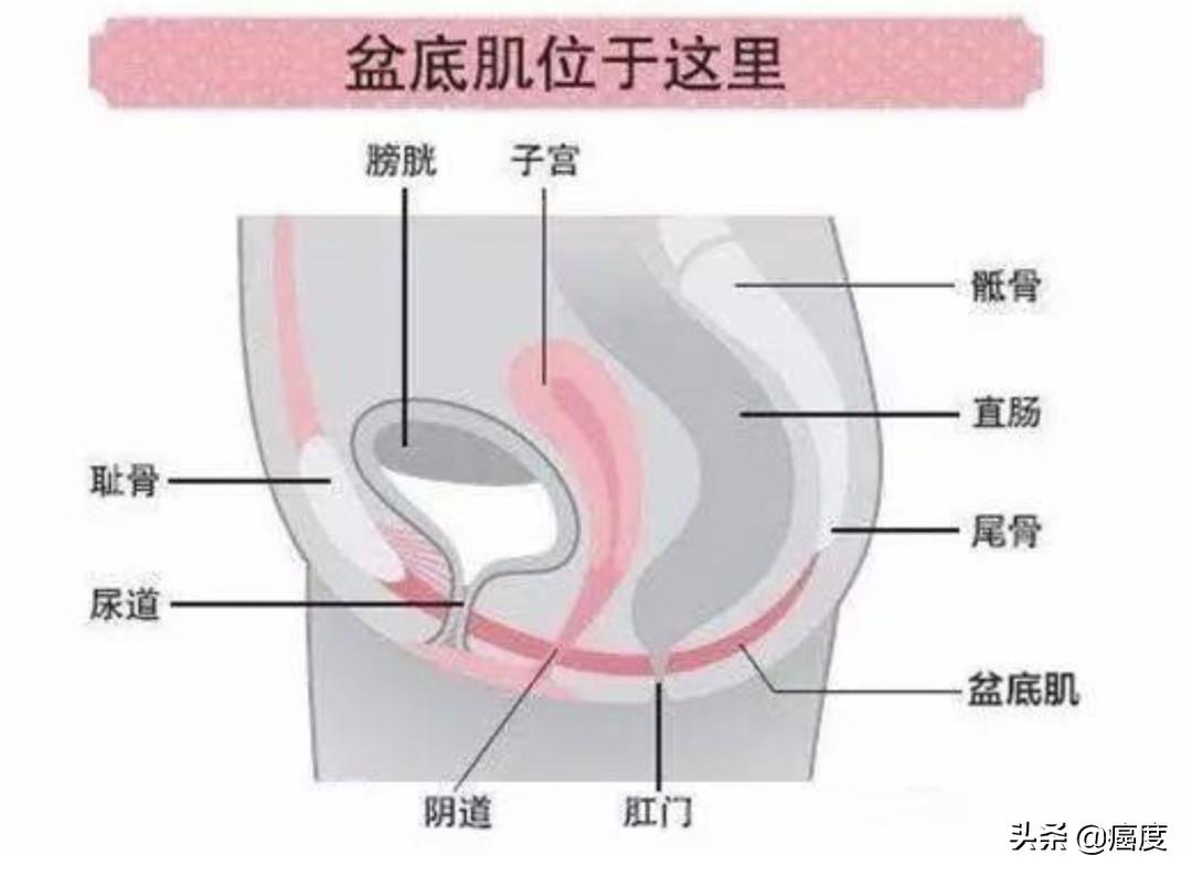 宫颈癌tct和hpv检查前注意事项,宫颈癌治愈后生活注意事项