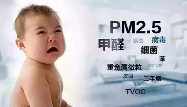 日本进口除甲醛神器强力型,日本光触媒除甲醛