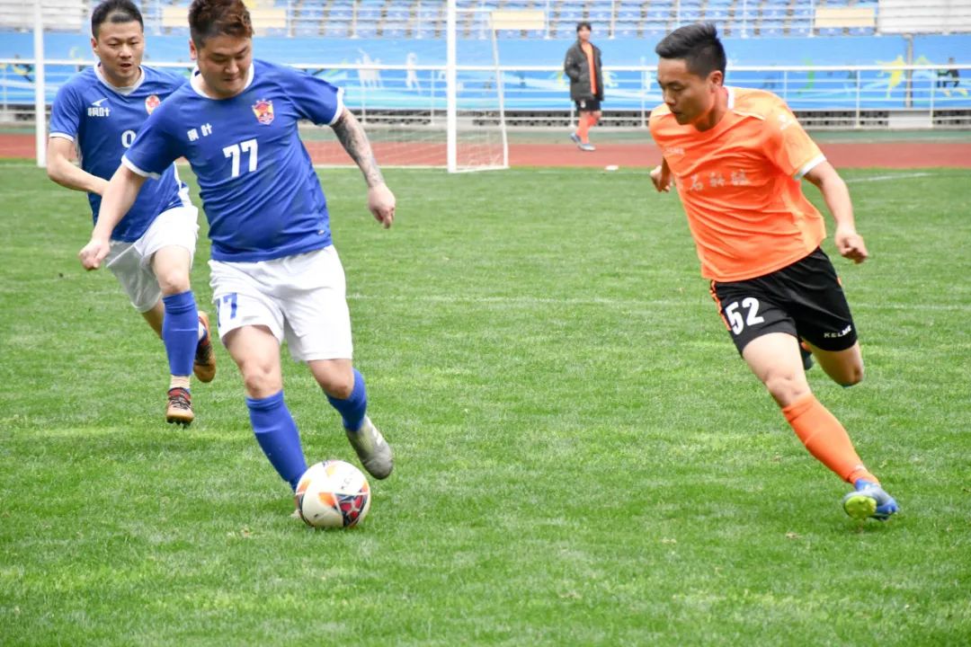 毛铺紫荞酒2019,毛铺紫荞酒1.68l