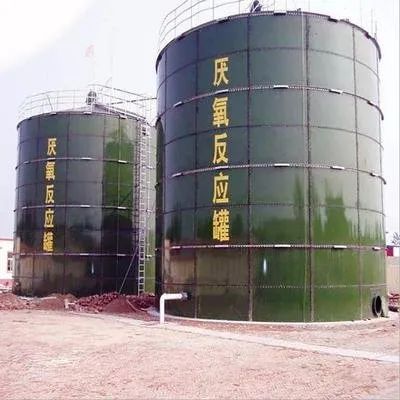 一人一年就产生近300斤粪便，全球70亿人的屎都去哪儿了？