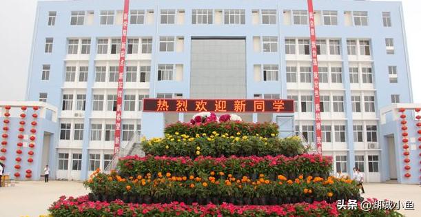 衡水市冀州区信都学校2019——2020学年小学入学须知