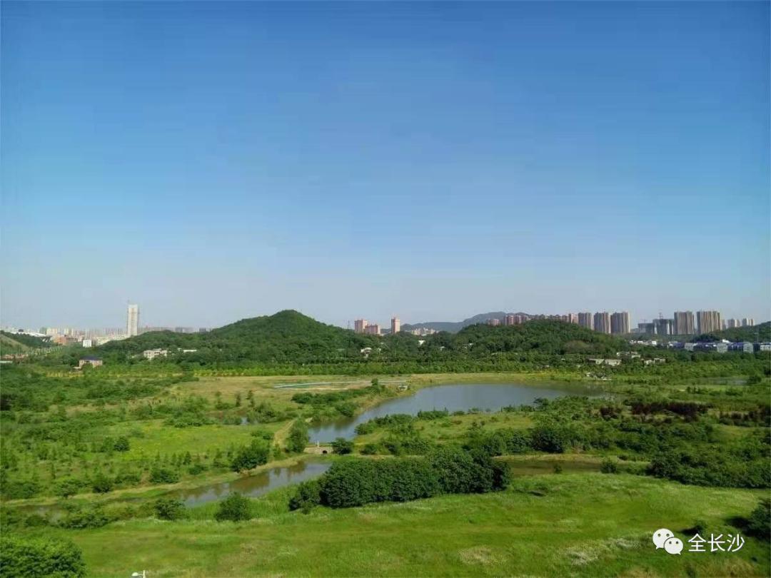 长沙的房价真的十年没涨么,长沙房地产政策最新消息